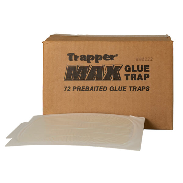 Trapper max Trampa de goma